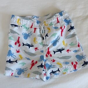 4T Boys Janie and Jack Swim Trunks